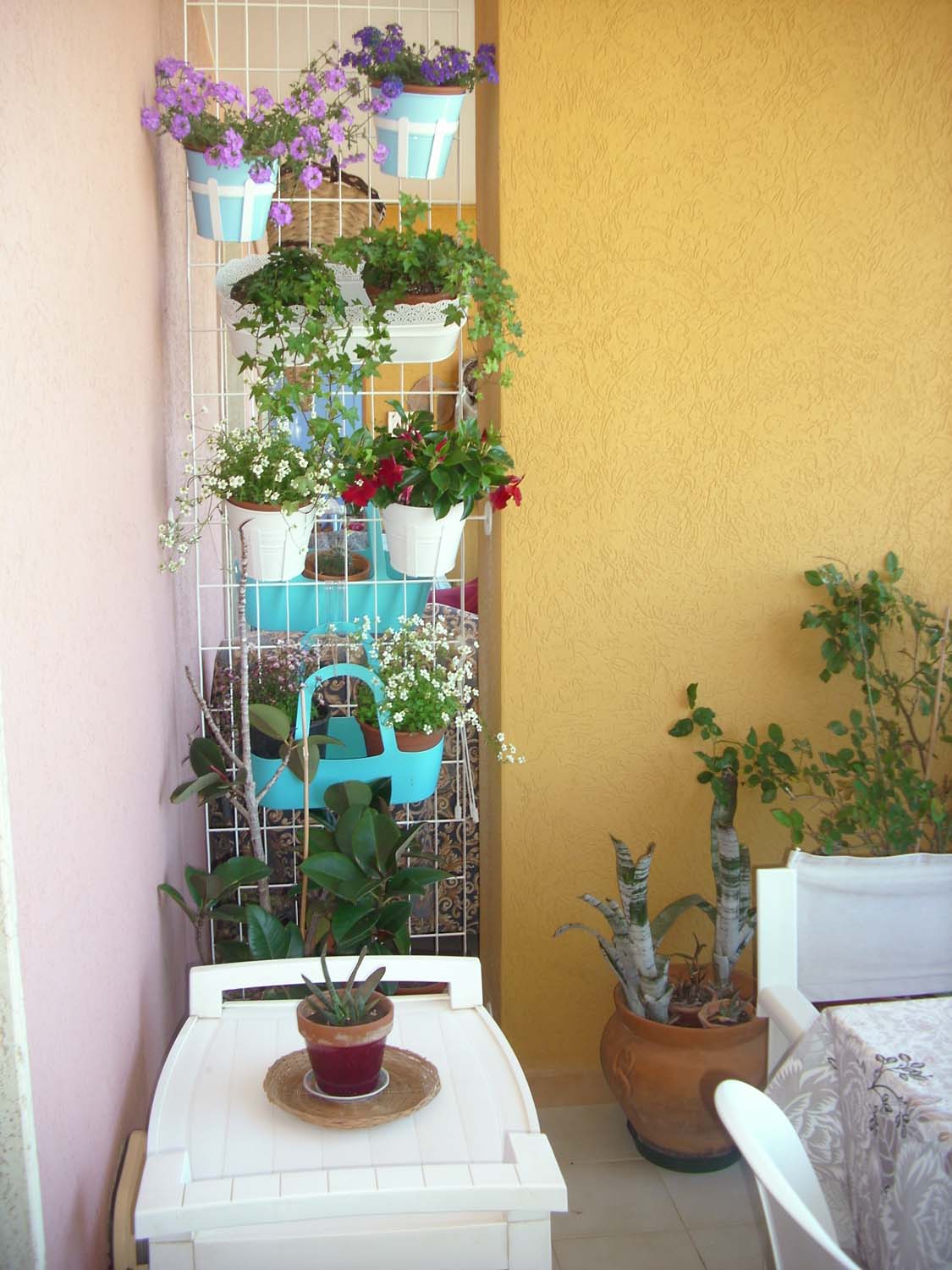 Terrazza