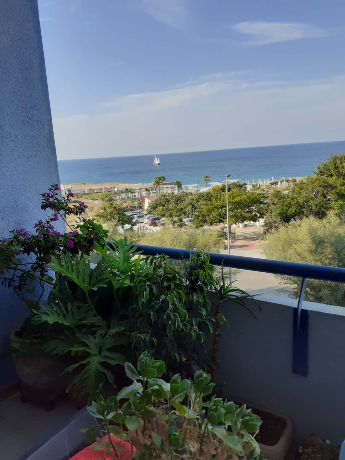 Terrazza